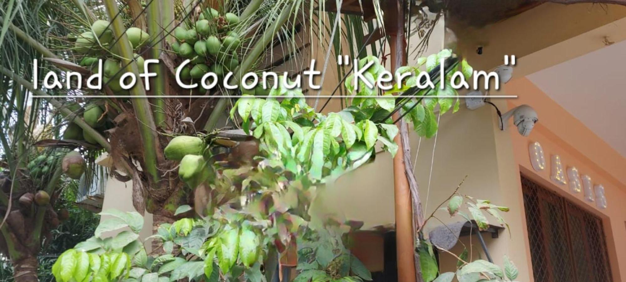 Oasis Homestay Kochi Zewnętrze zdjęcie